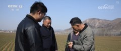 春耕春管向“新”而行 机械化育出丰收好“苗”